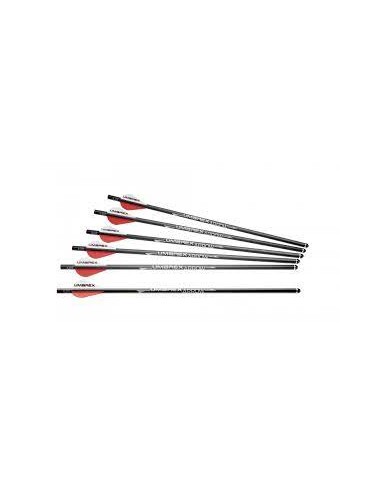 SET 6 FLECHES CARBON 15 UX AIR JAVELIN / 2.2335