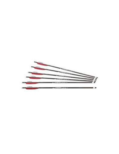 SET 6 FL CARBON PIJLEN 23 UX AIR SABER / 2.2337*********************