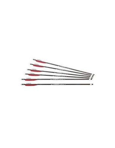 SET 6 FLECHES CARBON 23 UX AIR SABER / 2.2337