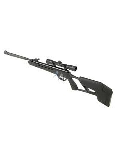 CARABINE A AIR CROSMAN...