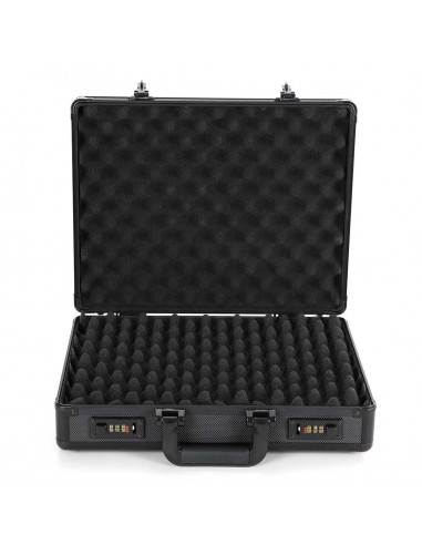 COFFRET ALU WINTER 2 PISTOLETS BLACK...