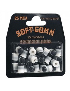 CARTOUCHE SAPL 8.8X10 -...