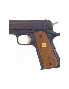 PARA-ORDNANCE PISTOOL 1640...