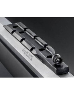 CHIAPPA RAIL SKINNER...