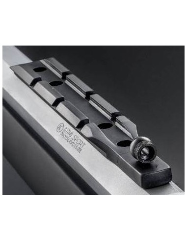 RAIL CHIAPPA SKINNER PICATINNY / 970.434