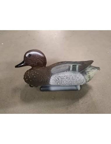 APPELANT - SARCELLE D'HIVER FEMELLE