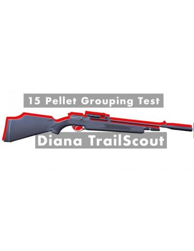 CARABINE CO2 DIANA TRAILSCOUT BOIS - 4,5 MM (16J)